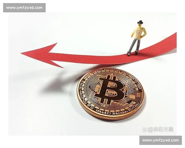 比特币的未来发展与全球金融体系的深刻变革探索